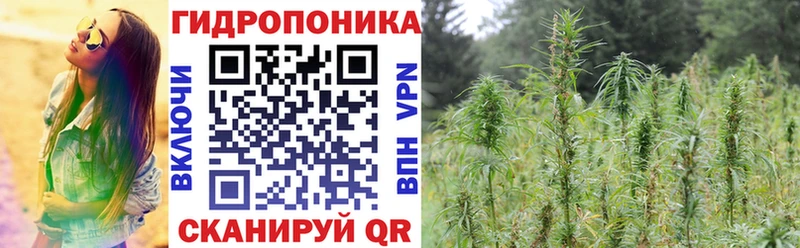 Купить Кандалакша Каннабис  НБОМе  Гашиш  ссылка на мегу онион  МЕТАДОН  МЕФ 
