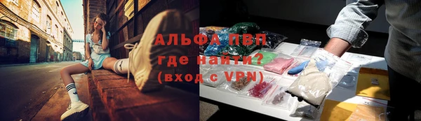 ALPHA PVP Инта