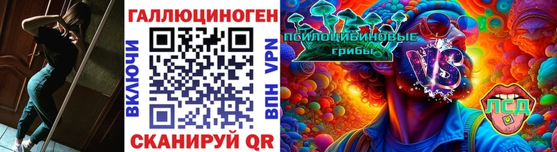где купить   Кандалакша  Галлюциногенные грибы ЛСД 